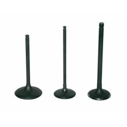 VERTEX Titanium Intake Valve - KTM