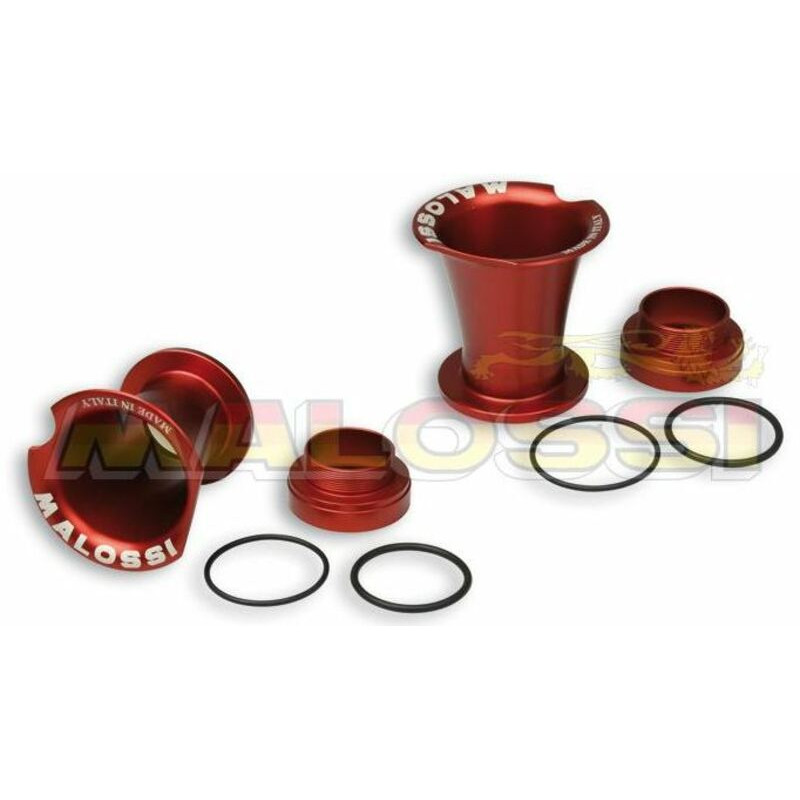 MALOSSI Intake Horns - 0516195