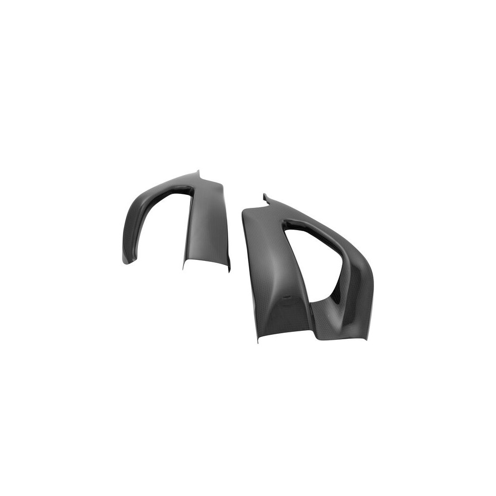 LIGHTECH Carbon Swingarm Protections matt