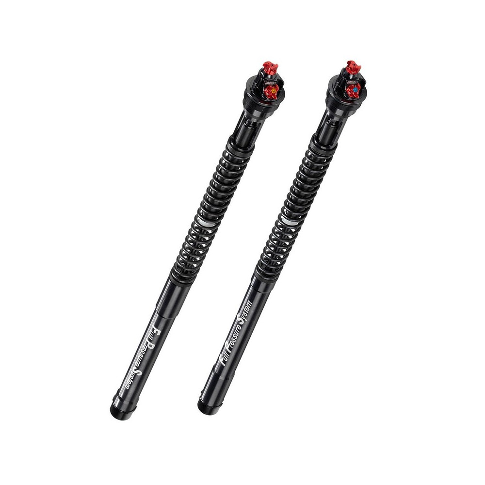 BITUBO Racing Fork Kit - D0034ECH29