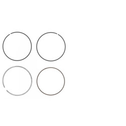 ATHENA Ring Ø 77 mm for Athena Piston