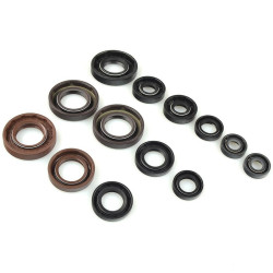 CENTAURO Oil Seal Set