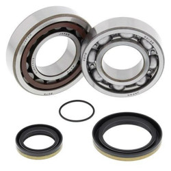 ALL BALLS Crankshaft Bearing & Oil Seal Kit