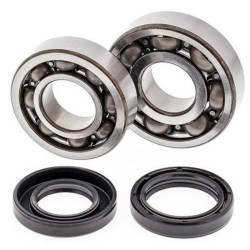 ALL BALLS Crankshaft Bearing & Oil Seal Kit