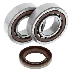 ALL BALLS Crankshaft Bearing & Oil Seal Kit