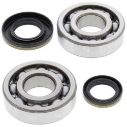 ALL BALLS Crankshaft Bearing & Oil Seal Kit