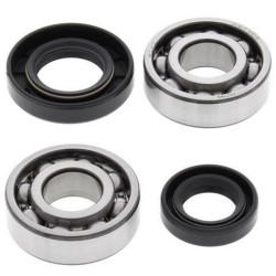 ALL BALLS Crankshaft Bearing & Oil Seal Kit
