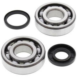 ALL BALLS Crankshaft Bearing & Oil Seal Kit