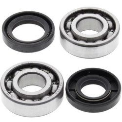 ALL BALLS Crankshaft Bearing & Oil Seal Kit